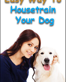 Easy Way To Housetrain Your Dog