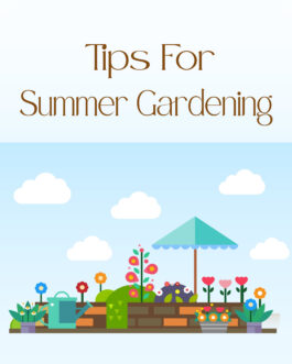 Tips For Summer Gardening