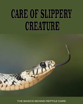 Care of Slippery Creature