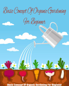 Basic Concept Of Organic Gardening For Beginner